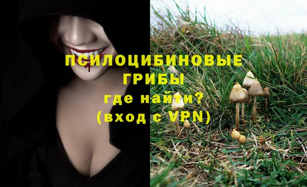 кокаин Приозерск