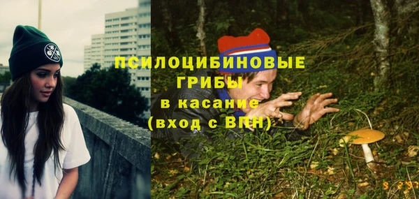 spice Протвино