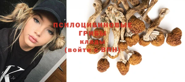 spice Протвино