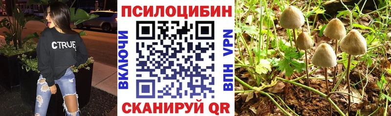 купить   Тутаев  гидра сайт  Галлюциногенные грибы прущие грибы 