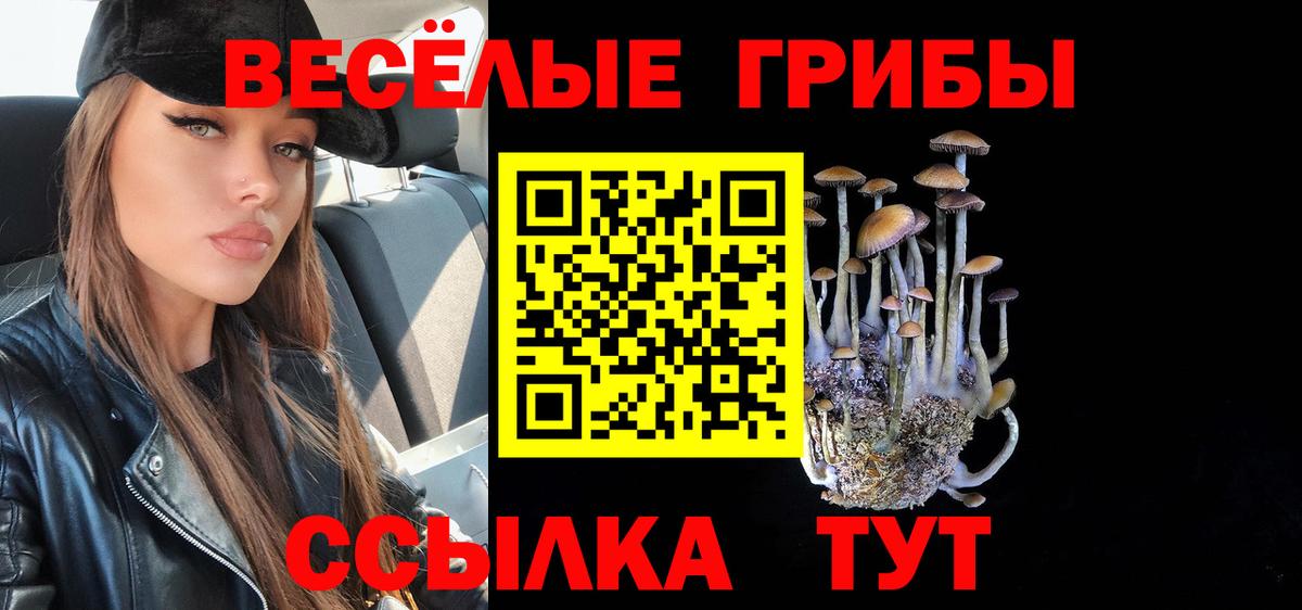Псилоцибиновые грибы Magic Shrooms  Вход с VPN  Тутаев 