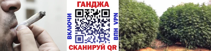 Бошки Шишки план  Тутаев 